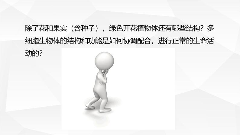 1.2.3 多细胞生物 课件---2024-2025学年苏教版（2024版）七年级生物上册第2页