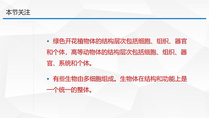 1.2.3 多细胞生物 课件---2024-2025学年苏教版（2024版）七年级生物上册第3页