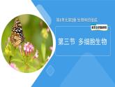 1.2.3 多细胞生物课件---2024-2025学年苏教版（2024版）七年级生物上册