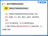 1.2.3 多细胞生物课件---2024-2025学年苏教版（2024版）七年级生物上册