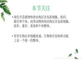 1.2.3多细胞生物课件 -2024-2025学年苏教版（2024版）七年级生物上册