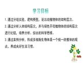 1.2.3多细胞生物课件---2024-2025学年苏教版（2024版）七年级生物上册