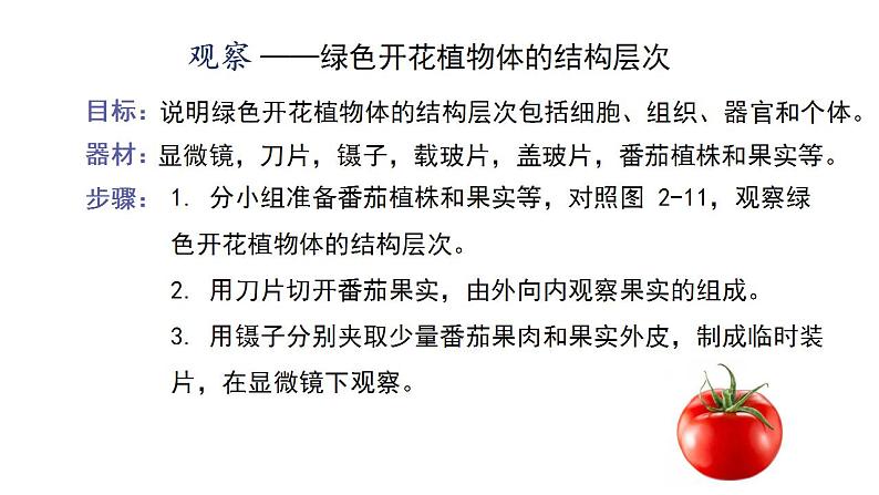 1.2.3多细胞生物课件---2024-2025学年苏教版（2024版）七年级生物上册第6页