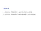 2.3.1  藻类和苔藓植物、蕨类植物  课件---2024-2025学年苏教版（2024版）七年级生物上册