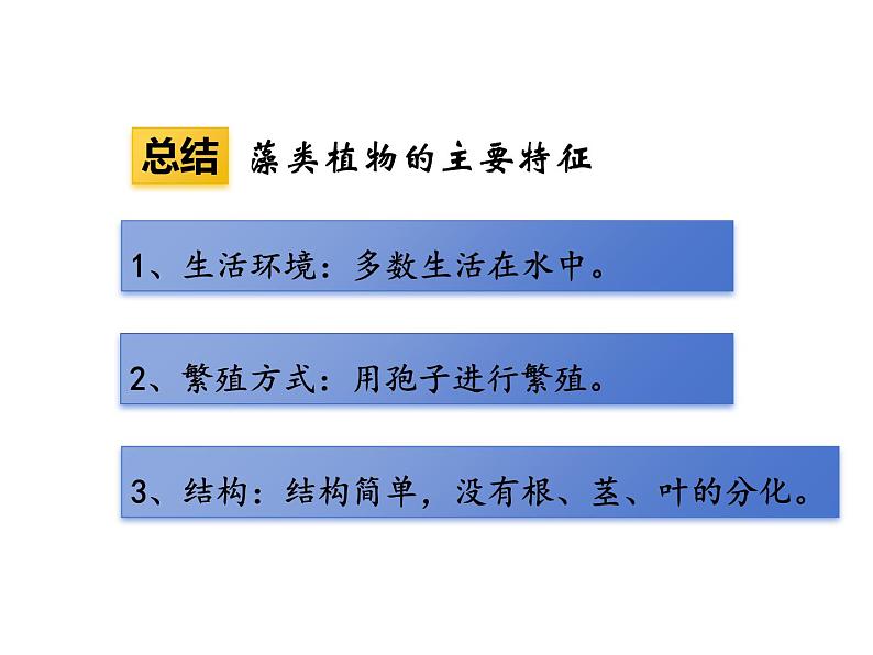 2.3.1  藻类和苔藓植物、蕨类植物  课件---2024-2025学年苏教版（2024版）七年级生物上册08