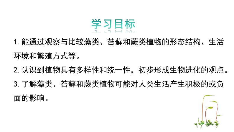 2.3.1藻类和苔藓植物、蕨类植物课件 ---2024-2025学年苏教版（2024版）七年级生物上册03