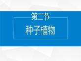 2.3.2 种子植物课件---2024-2025学年苏教版（2024版）七年级生物上册