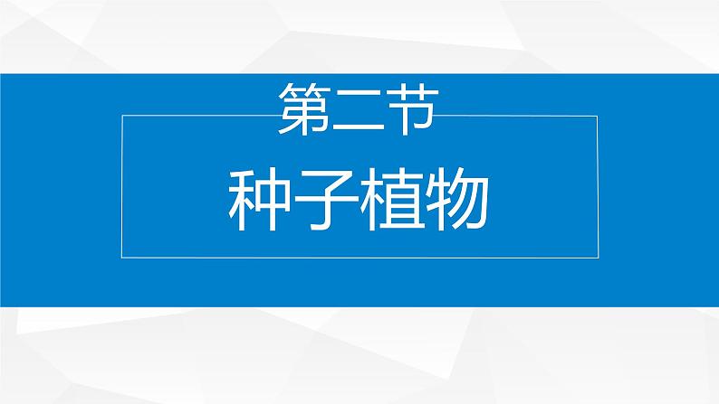 2.3.2 种子植物课件---2024-2025学年苏教版（2024版）七年级生物上册第1页