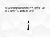2.3.2 种子植物课件---2024-2025学年苏教版（2024版）七年级生物上册
