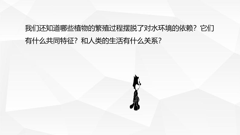 2.3.2 种子植物课件---2024-2025学年苏教版（2024版）七年级生物上册第3页