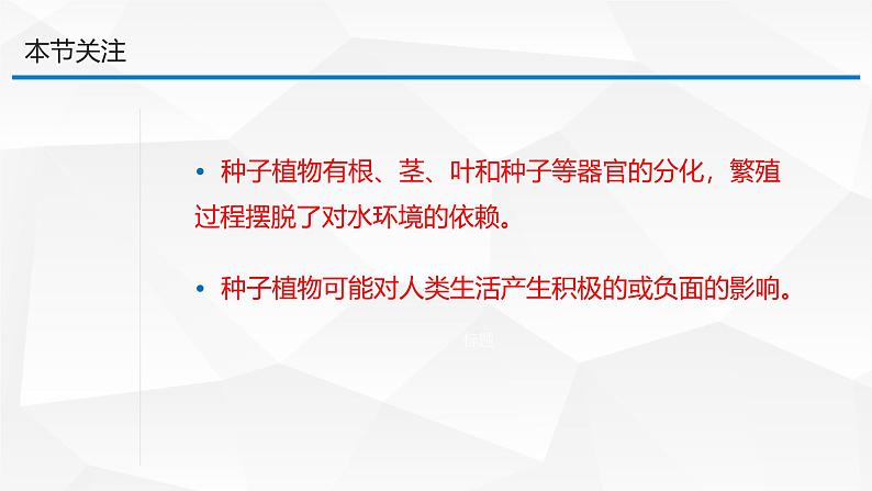 2.3.2 种子植物课件---2024-2025学年苏教版（2024版）七年级生物上册第4页