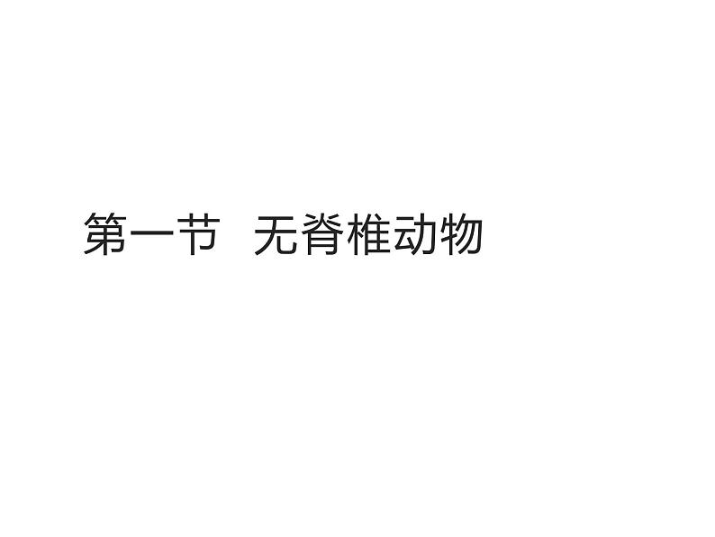 2.4.1  无脊椎动物  课件---2024-2025学年苏教版（2024版）七年级生物上册第1页