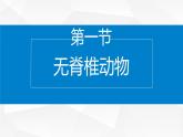 2.4.1 无脊椎动物 课件---2024-2025学年苏教版（2024版）七年级生物上册
