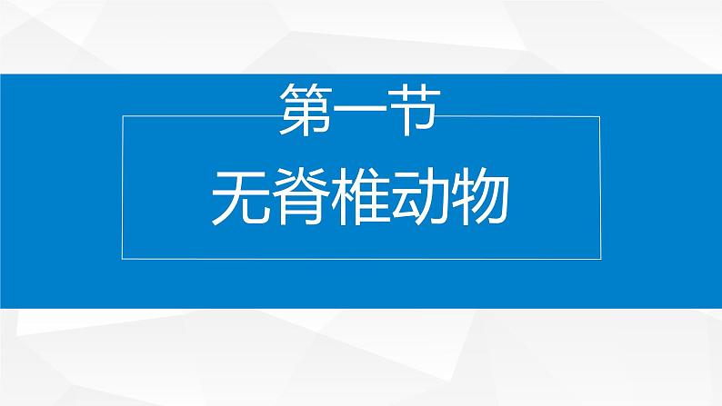 2.4.1 无脊椎动物 课件---2024-2025学年苏教版（2024版）七年级生物上册第1页
