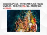 2.4.1 无脊椎动物 课件---2024-2025学年苏教版（2024版）七年级生物上册