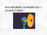2.4.1 无脊椎动物 课件---2024-2025学年苏教版（2024版）七年级生物上册