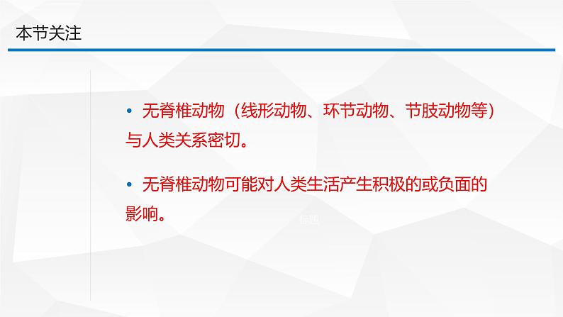 2.4.1 无脊椎动物 课件---2024-2025学年苏教版（2024版）七年级生物上册第5页