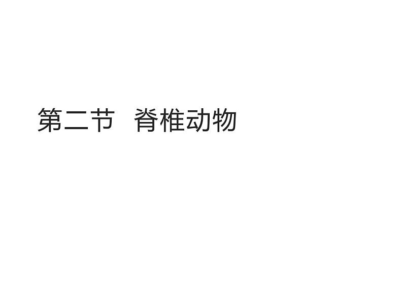 2.4.2  脊椎动物  课件---2024-2025学年苏教版（2024版）七年级生物上册第1页