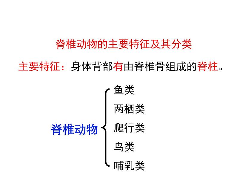 2.4.2  脊椎动物  课件---2024-2025学年苏教版（2024版）七年级生物上册第4页