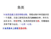 2.4.2  脊椎动物  课件---2024-2025学年苏教版（2024版）七年级生物上册