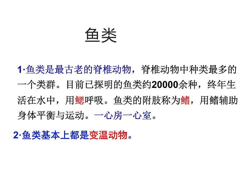 2.4.2  脊椎动物  课件---2024-2025学年苏教版（2024版）七年级生物上册第5页