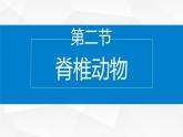 2.4.2 脊椎动物课件---2024-2025学年苏教版（2024版）七年级生物上册