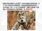 2.4.2 脊椎动物课件---2024-2025学年苏教版（2024版）七年级生物上册