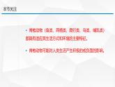 2.4.2 脊椎动物课件---2024-2025学年苏教版（2024版）七年级生物上册