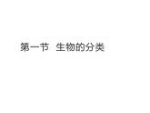 2.6.1 生物的分类课件---2024-2025学年苏教版（2024版）七年级生物上册