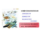 2.6.1 生物的分类课件---2024-2025学年苏教版（2024版）七年级生物上册