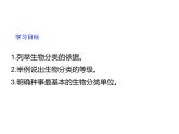 2.6.1 生物的分类课件---2024-2025学年苏教版（2024版）七年级生物上册