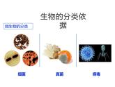 2.6.1 生物的分类课件---2024-2025学年苏教版（2024版）七年级生物上册