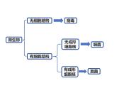 2.6.1 生物的分类课件---2024-2025学年苏教版（2024版）七年级生物上册