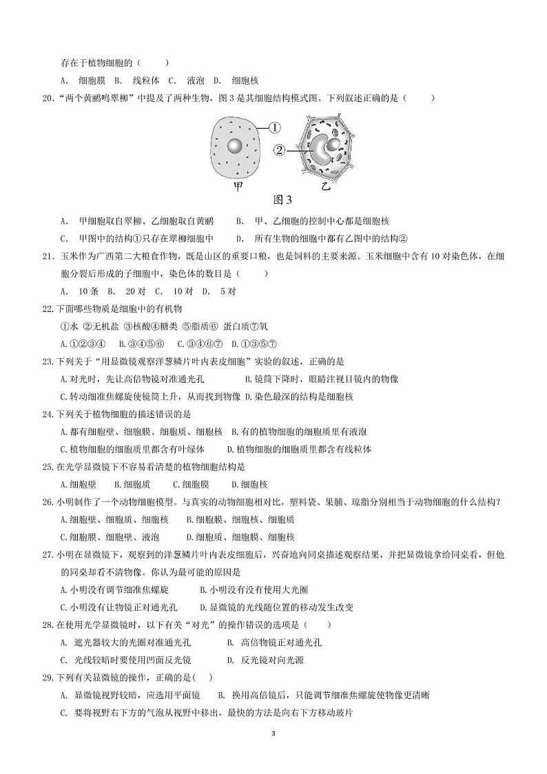 山东省聊城市实验中学2024-2025学年七年级上学期第一次学情调研生物试题第3页