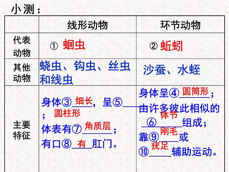 2024---2025学年度八年级生物上册5.1.3软体动物与节肢动物课件01