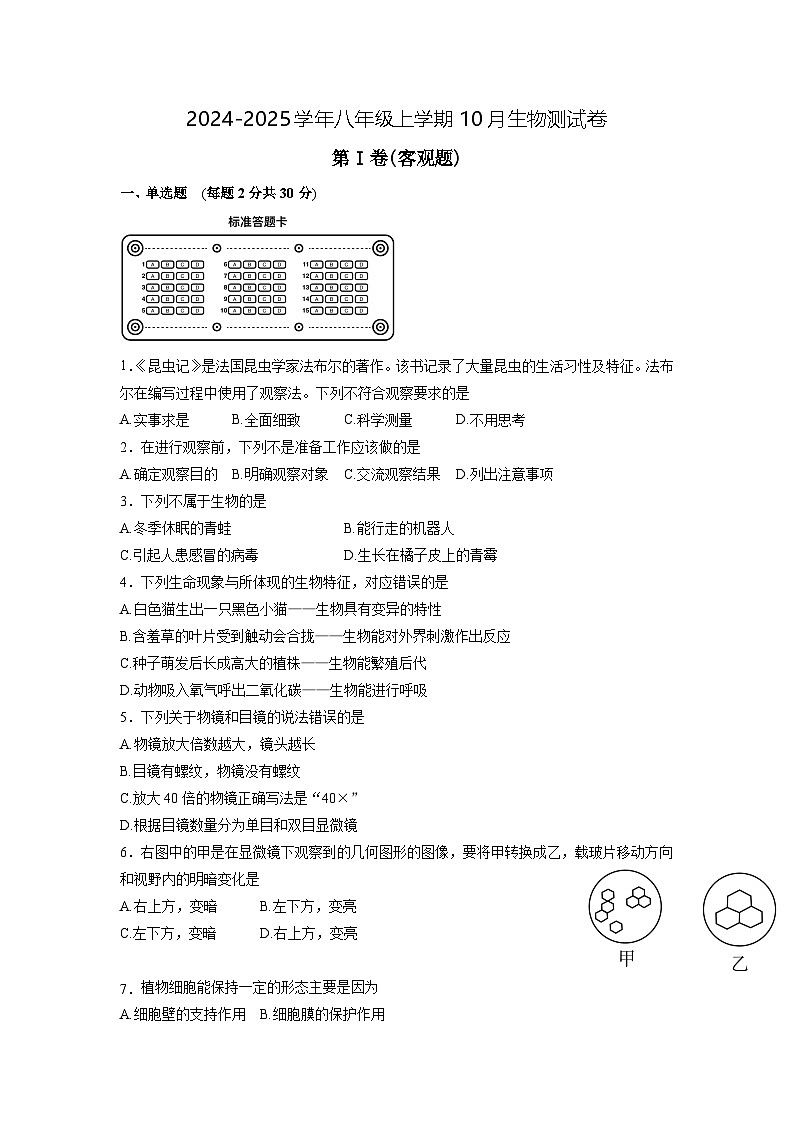 广西南宁市第十四中学2024-2025学年七年级上学期10月份月考生物试卷01