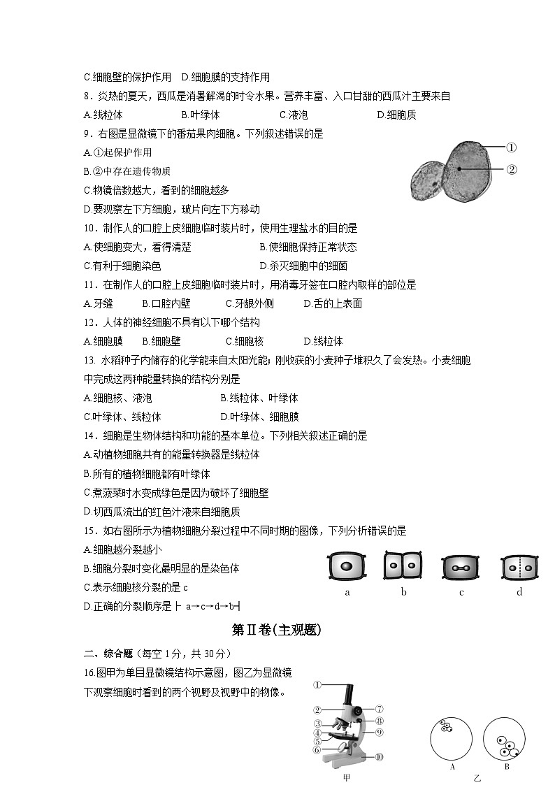 广西南宁市第十四中学2024-2025学年七年级上学期10月份月考生物试卷02