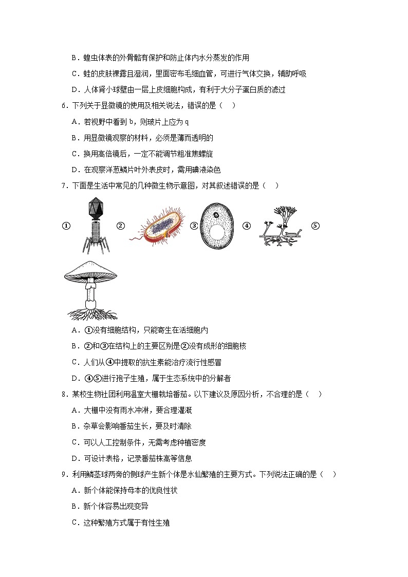 2024年山东省济宁市中考生物试题第2页