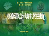 1.1.1观察周边环境中的生物课件--2024-2025学年人教版（2024）生物七年级上册