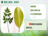 1.1.1观察周边环境中的生物课件--2024-2025学年人教版（2024）生物七年级上册