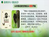 1.1.1观察周边环境中的生物课件--2024-2025学年人教版（2024）生物七年级上册