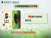 1.1.1观察周边环境中的生物课件--2024-2025学年人教版（2024）生物七年级上册