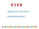 1.1.2 生物的特征   课件--2024-2025学年人教版（2024）生物七年级上册