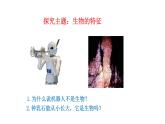 1.1.2 生物的特征   课件--2024-2025学年人教版（2024）生物七年级上册