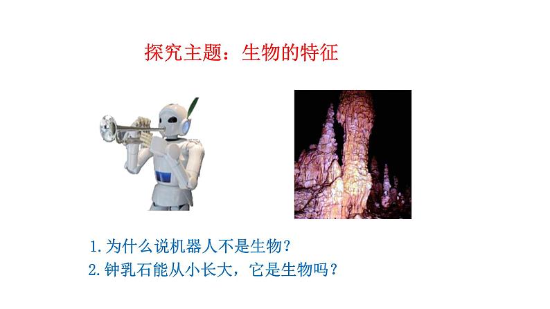 1.1.2 生物的特征   课件--2024-2025学年人教版（2024）生物七年级上册第4页