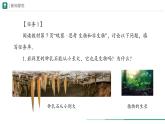 1.1.2 生物的特征课件--2024-2025学年人教版（2024）生物七年级上册