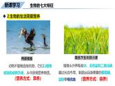 1.1.2生物的特征课件--2024-2025学年人教版（2024）生物七年级上册