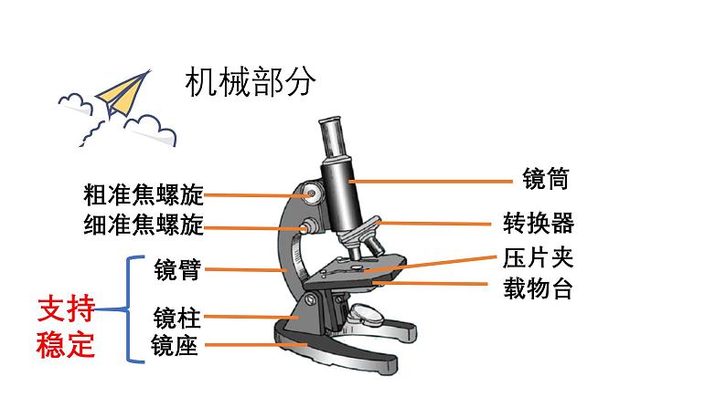 1.2.1 学习使用显微镜 课件--2024-2025学年人教版（2024）生物七年级上册第5页