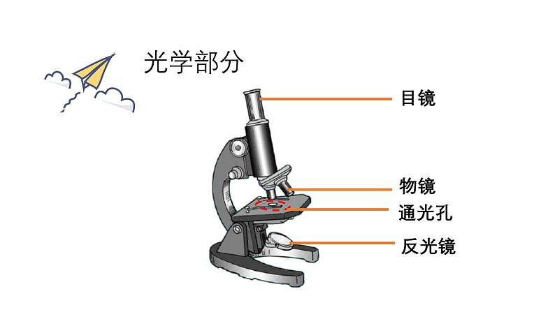 1.2.1 学习使用显微镜 课件--2024-2025学年人教版（2024）生物七年级上册第8页