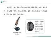 1.2.1 学习使用显微镜课件--2024-2025学年人教版（2024）生物七年级上册